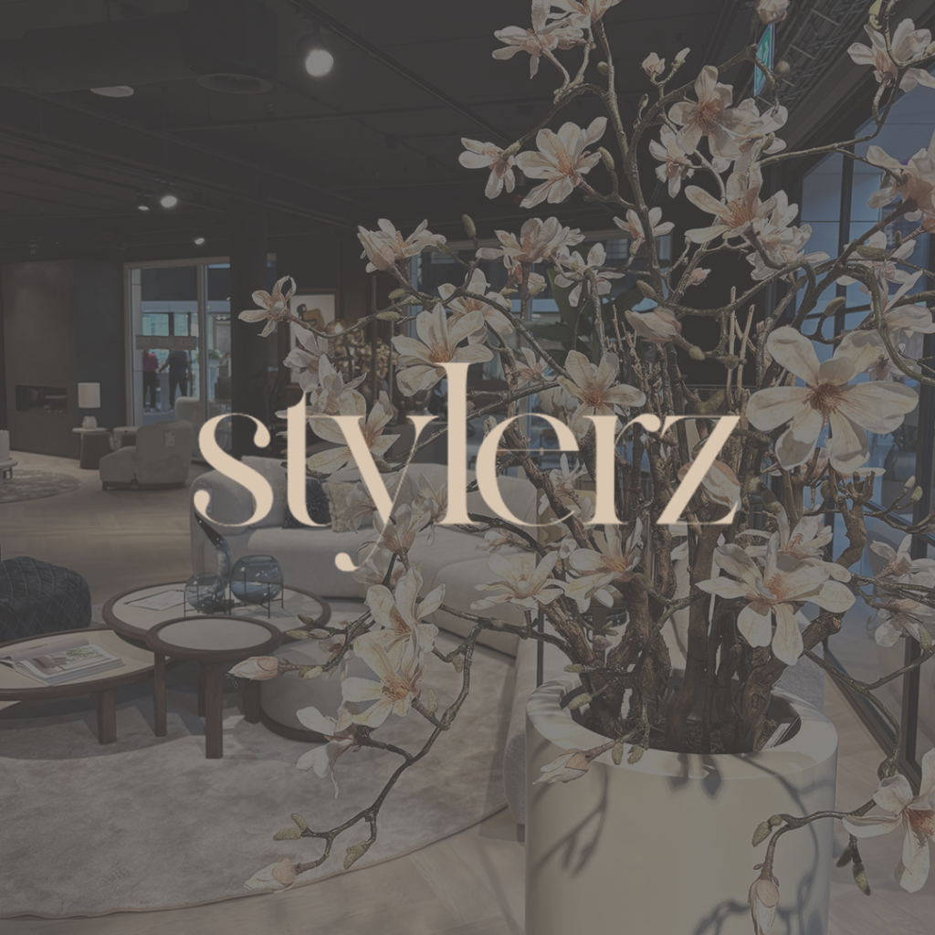 logo van stylerz